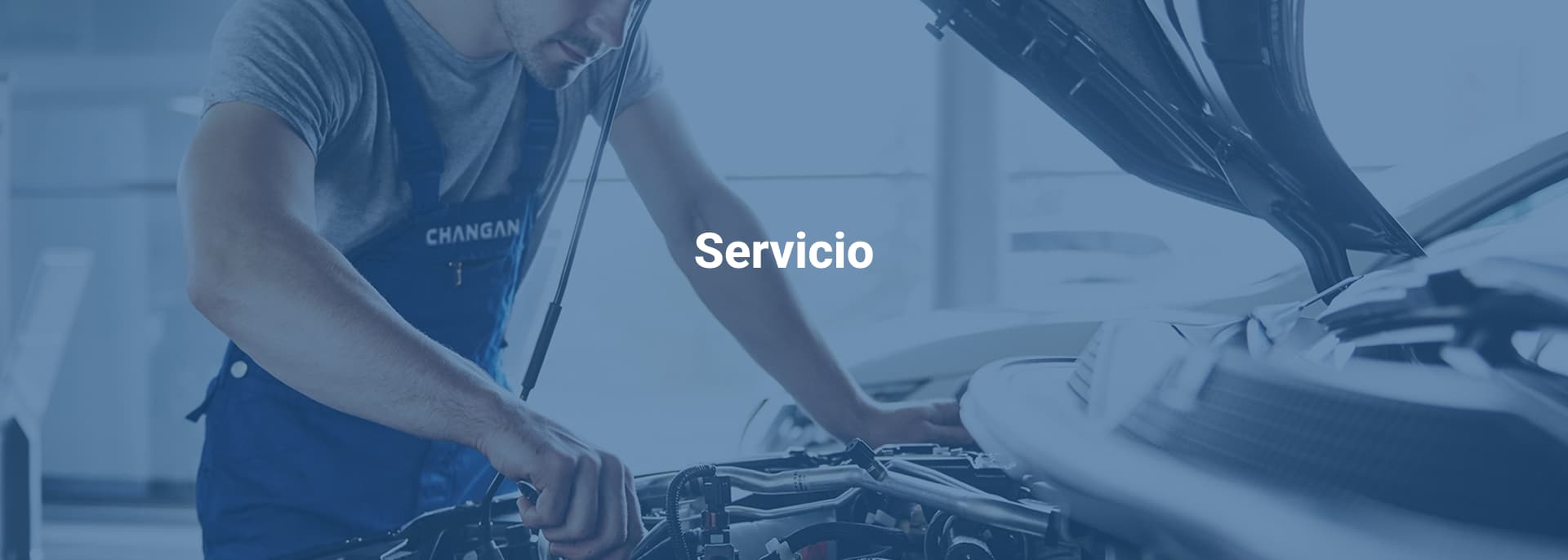 Centro de servicio Changan León Sur - atención especializada