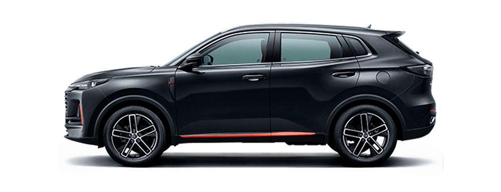 CS55 PLUS PREMIUM 2025